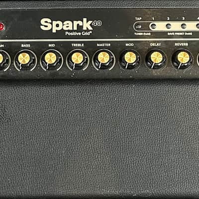 Positive Grid Spark 40, Recent image 2