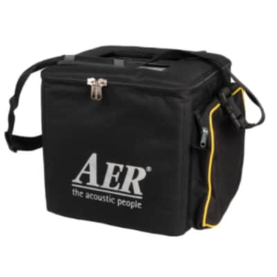 AER Alpha | 2 chnl 40-Watt 1x8" Acoustic Guitar Combo. New with Full Warranty! image 12