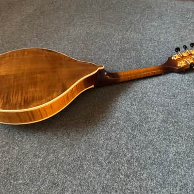 Isola Mandolins A5 2026 - New image 8