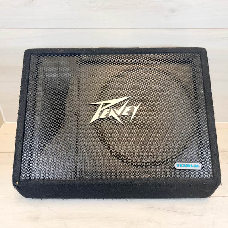 Peavey 112 DLM 12” Passive Floor Monitor Speaker 200W RMS 8 Ohm Made in USA 1990s–2000s image 1