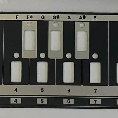 roland TB-303 Black switch panel