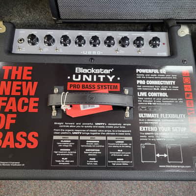 Blackstar Unity Series U250 250-Watt 1x15" Bass Guitar Combo Amp image 3