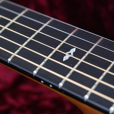 Taylor 50th Anniversary 217e-SB Plus LTD | Sunburst image 15