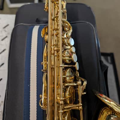 Ripa 5030VFRGL-SS Sax Alto Special image 4