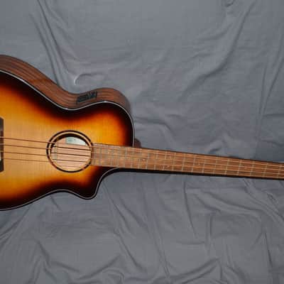 Breedlove ECO Discovery S Concert Acoustic Bass CE 2022 Edgeburst image 4