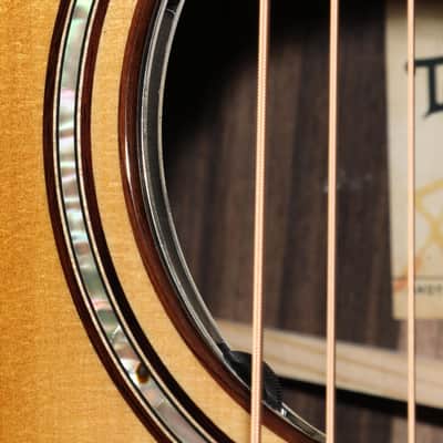 Taylor Next Generation Builder's Edition 814ce 2026 - Present - Shaded Edgeburst image 6