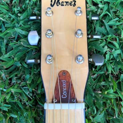 1976 Ibanez Concord 670 Blonde image 8