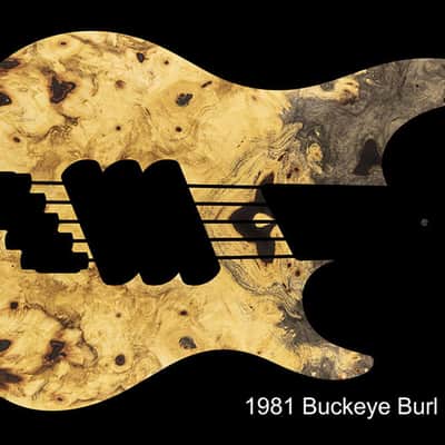 Dingwall Custom Shop Z3X-5 Buckeye Burl Dark Red to Orange RevBurst image 2