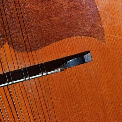 Vintage Czechoslovakia Cremona Luby mandolin 1960s image 3