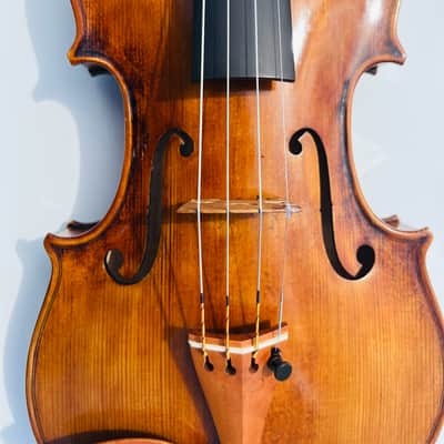 Giuseppe Fiorini Da Bologna Fece in Roma Italian Labeled Violin image 2