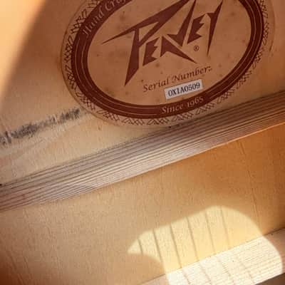 Peavey DW-1 Serial Number 0XIA0509 - Natural image 6