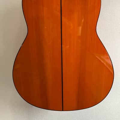 Leona Amalio FE65 2010 image 8