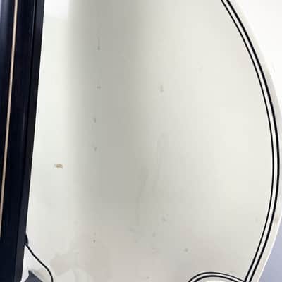King Upright Bass Owned By Matt Freeman Of Rancid image 12