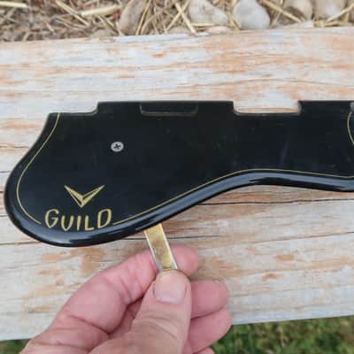 Guild X-350 1950's Pick Guard Vintage Old!!!! image 1