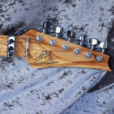 GB Liuteria Boutique Ergal 6 string Fossil edition image 6