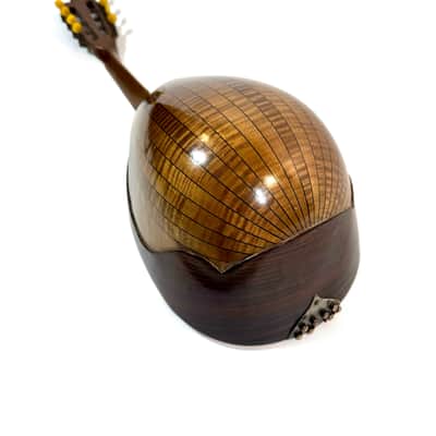 Gelas Type Double-Top ConcertMandolin (J. Rowies Label) 1927 image 17