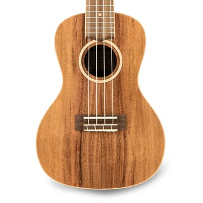 LANIKAI ACST-C - Acacia Solid Top Concert/DLX padded gigbag image 2