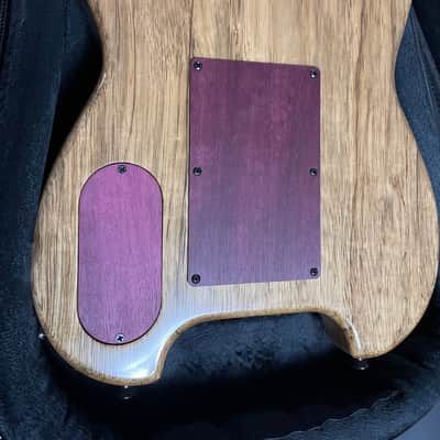 Kiesel Allan holdsworth 2022 Natural image 3