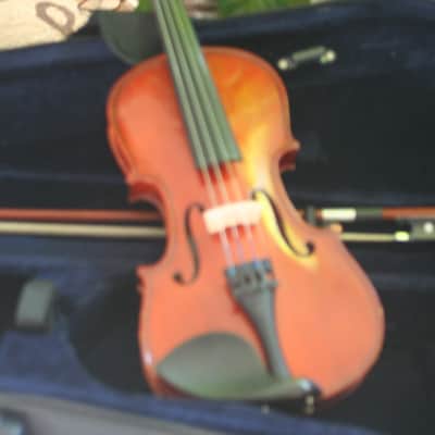 Franz Hoffman Amadeus - 1/2 Size image 5