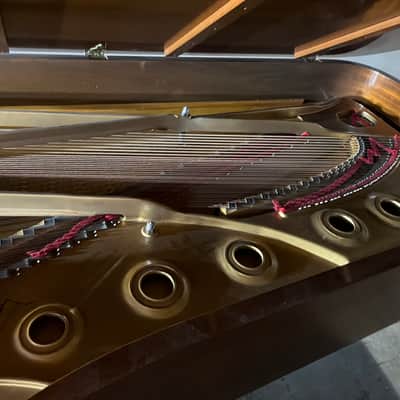 Steinway Model D Concert Grand 1986 Signed image 14