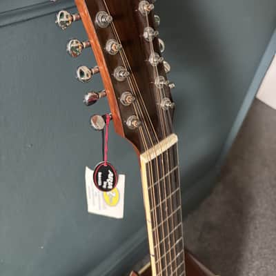 Aria 12 string Dreadnought AW 20 - T - N image 2