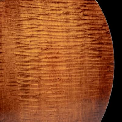 OME Ikon Resonator Banjo — JLS Tone Ring — Pre-Order — Case Included image 9