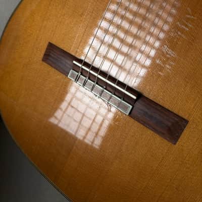 2004 Eric Sahlin Concert Classical 640mm image 19