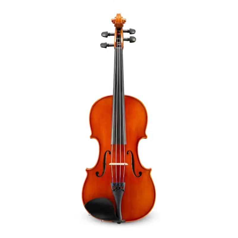 Eastman VA100 Samuel Eastman Series Student Viola | 15"