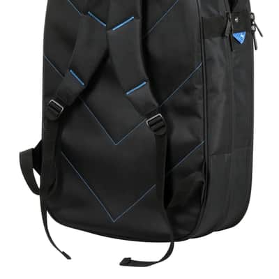 Reunion Blues RBX – Double Electric Guitar Gig Bag image 2