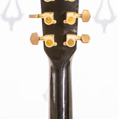 Daion Year Series '79 Black Acoustic Six String image 15