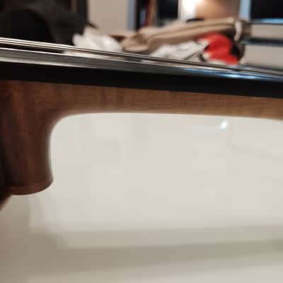 Alessandro Bertoli 4/4 Full size violin 2018 plus g Werner pernambuco bow and old case image 20