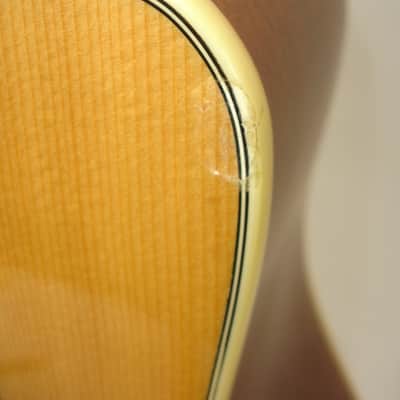 2017 Alvarez AD6012CE AD60ce 12-String Acoustic Electric Guitar, Natural AD60-12CE image 7
