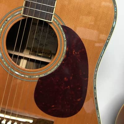 Zager ZAD 80 EZ-PLAY Acoustic Guitar image 4