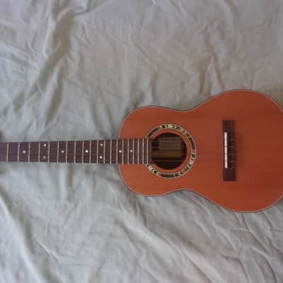 T. Mead Instruments Tenor Ukulele 2016 Walnut / Redwood image 1