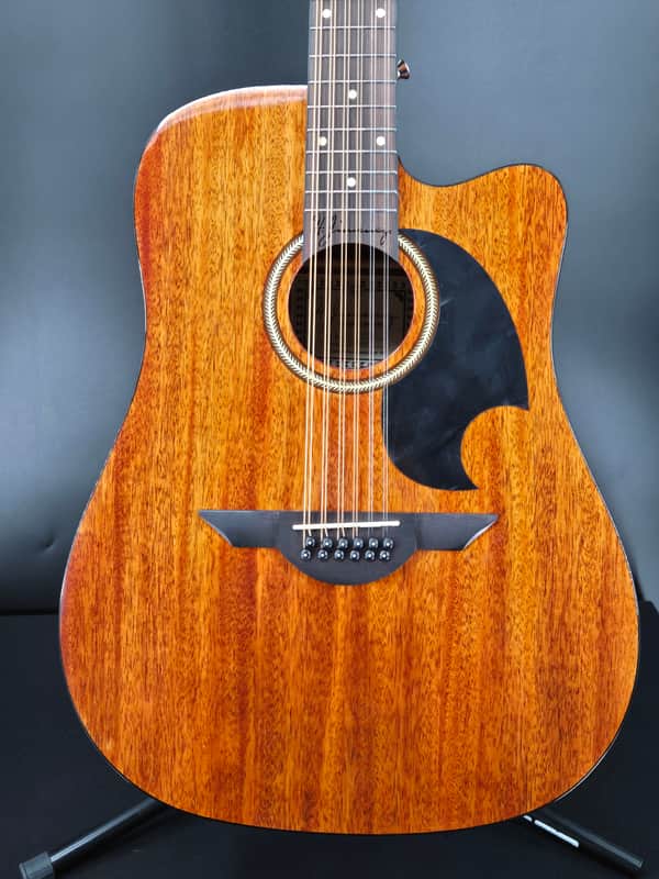 H. Jimenez LGD1-CENM  Glossy Guitarra Doble  Glossy Natural Mahogany Cutaway Electric with Hard wood case... image 1