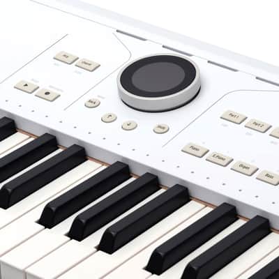 Arturia AstroLab 61-Key Stage Keyboard, White image 5