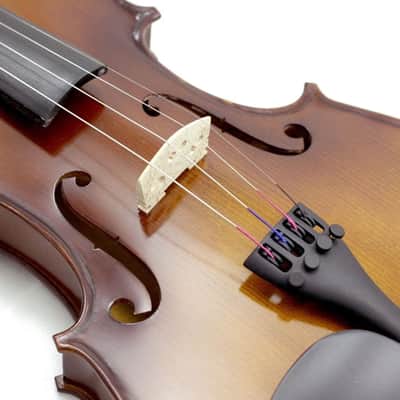 4/4 Violin+Mini Violin+Many Extras image 2