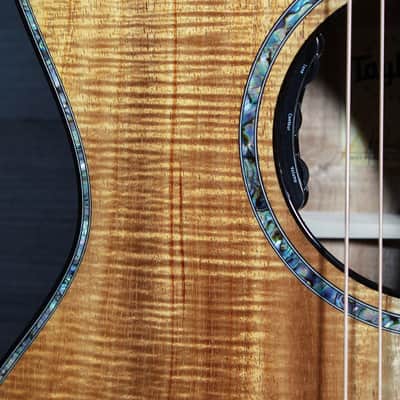 Taylor Custom Grand Auditorium – Premium Hawaiian Koa / Performance Adi X-Bracing / Tobias Music Exclusive image 7
