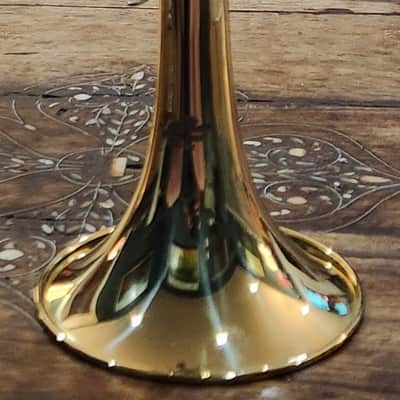 Taishan Winds TSTR-801 bB Trumpet Gold Lacquer Over Brass 2020 image 2