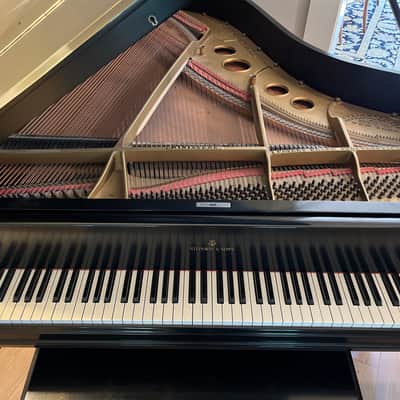 Steinway Model O Grand Piano 1906 - Ebony Satin image 5