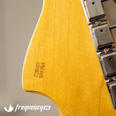 Elliott Peter Stroud Tone Master with Rosewood Fingerboard in Lake Placid Blue - 2022 image 21