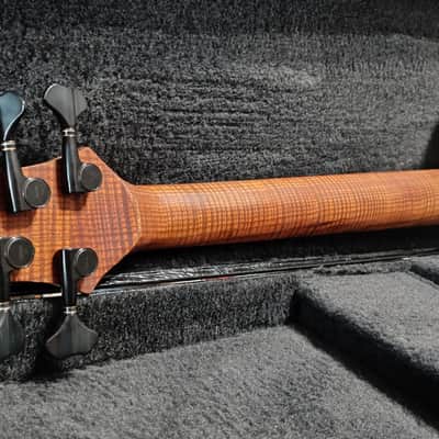 Corpus Buddy Bass 5 Strings - Lodato Guitars Handcrafted image 11