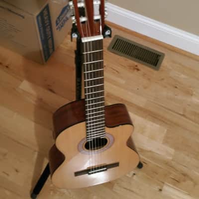 J. Reynolds Classical Acoustic/Electric Nylon String JRC10 Natural Gloss image 3