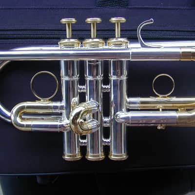 Berkeleywind C / Db Trumpet image 5