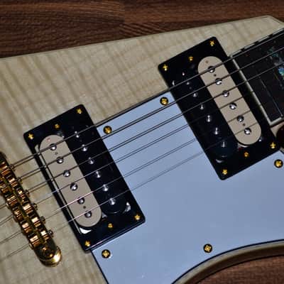 Carlino Icarus Exotic Flamed Maple Top 2019 image 7