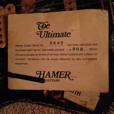 Hamer Standard 1983 Custom image 7