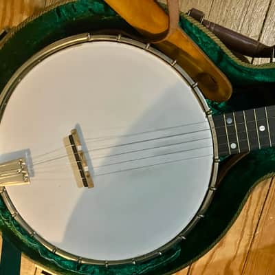 Wildwood Minstrel 2000’s image 2