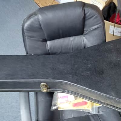 Hamer USA Flying V Guitar case image 7