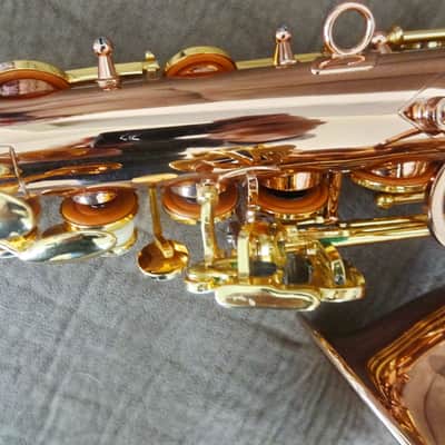 Monique Pro Series Alto Saxophone (SELMER/BUFFET CLONE) 1990s - Copper & Brass image 17
