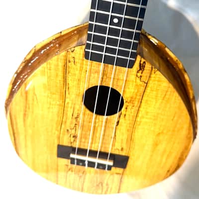 Turtle Shell Tenor Ukulele image 13